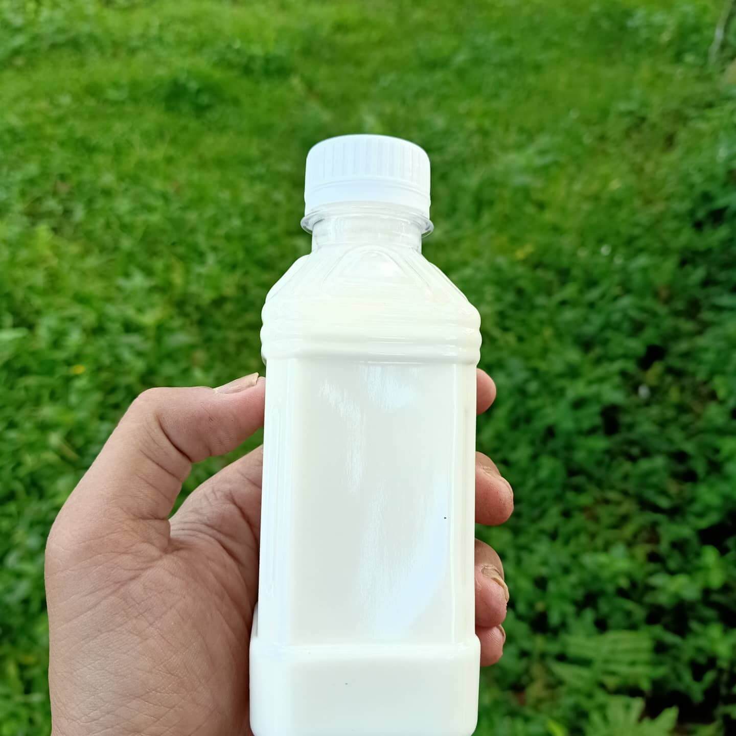 Jawara%20Farm%20|%20PT